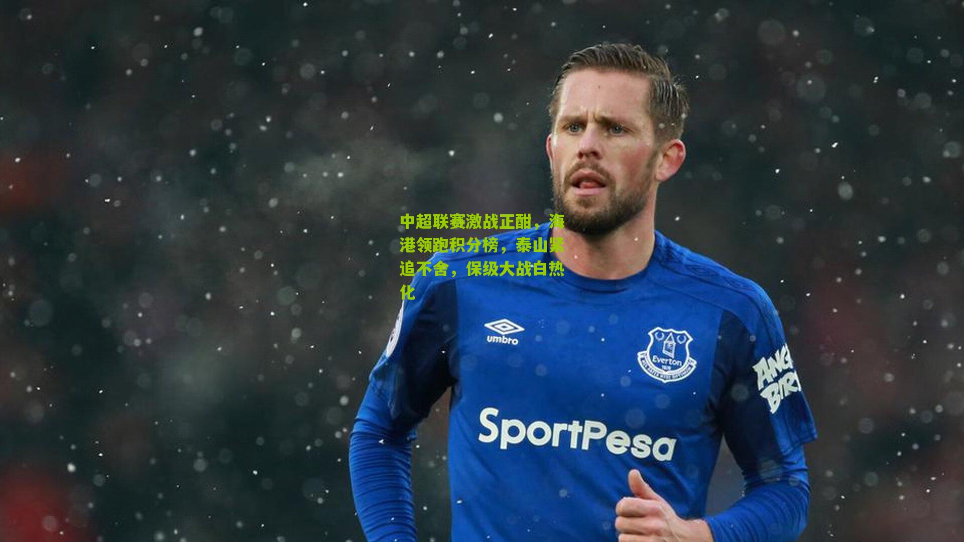 中超联赛激战正酣,海港领跑积分榜,泰山紧追不舍,保级大战白热化